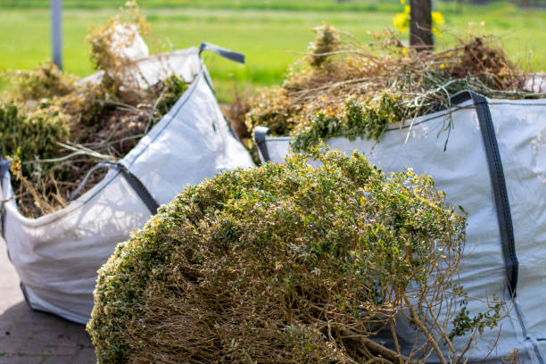 Best Estate Cleanout Services  in La Huerta, NM